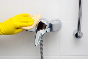 clean-to-prevent-mold