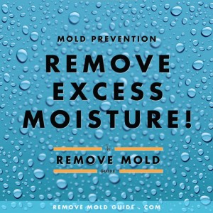 moisture-causes-mold