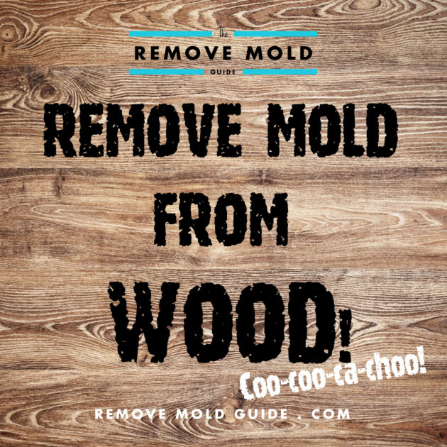 Remove Mold From Wood 2018 Guide To, How To Remove Mold From Upholstered Furniture