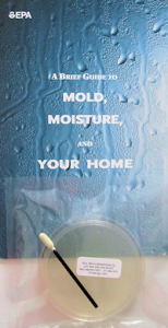 Mold-and-moisture