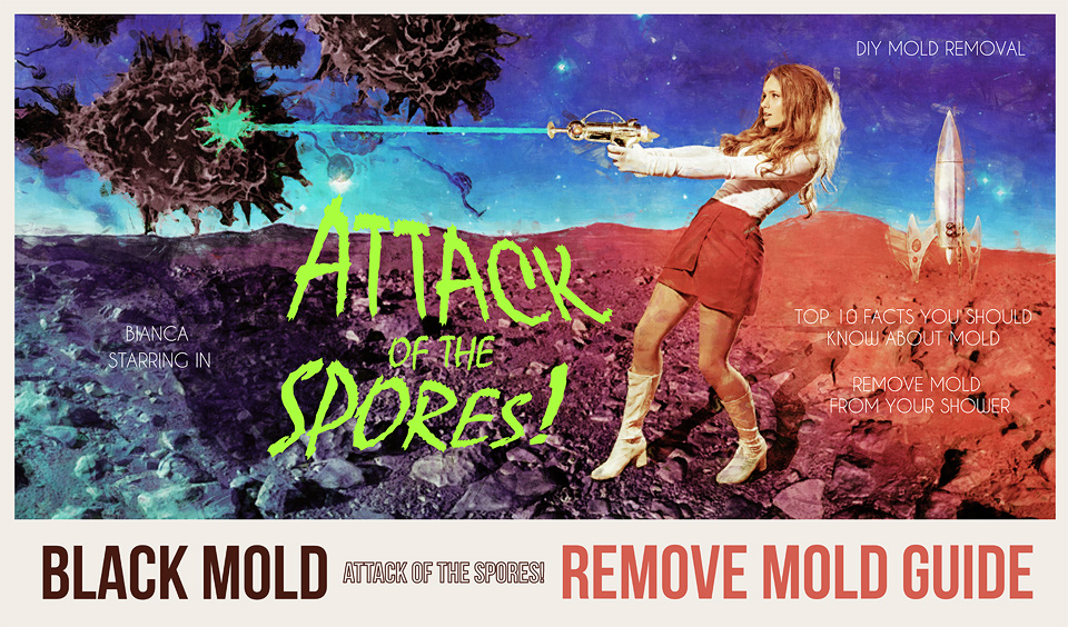 remove black mold